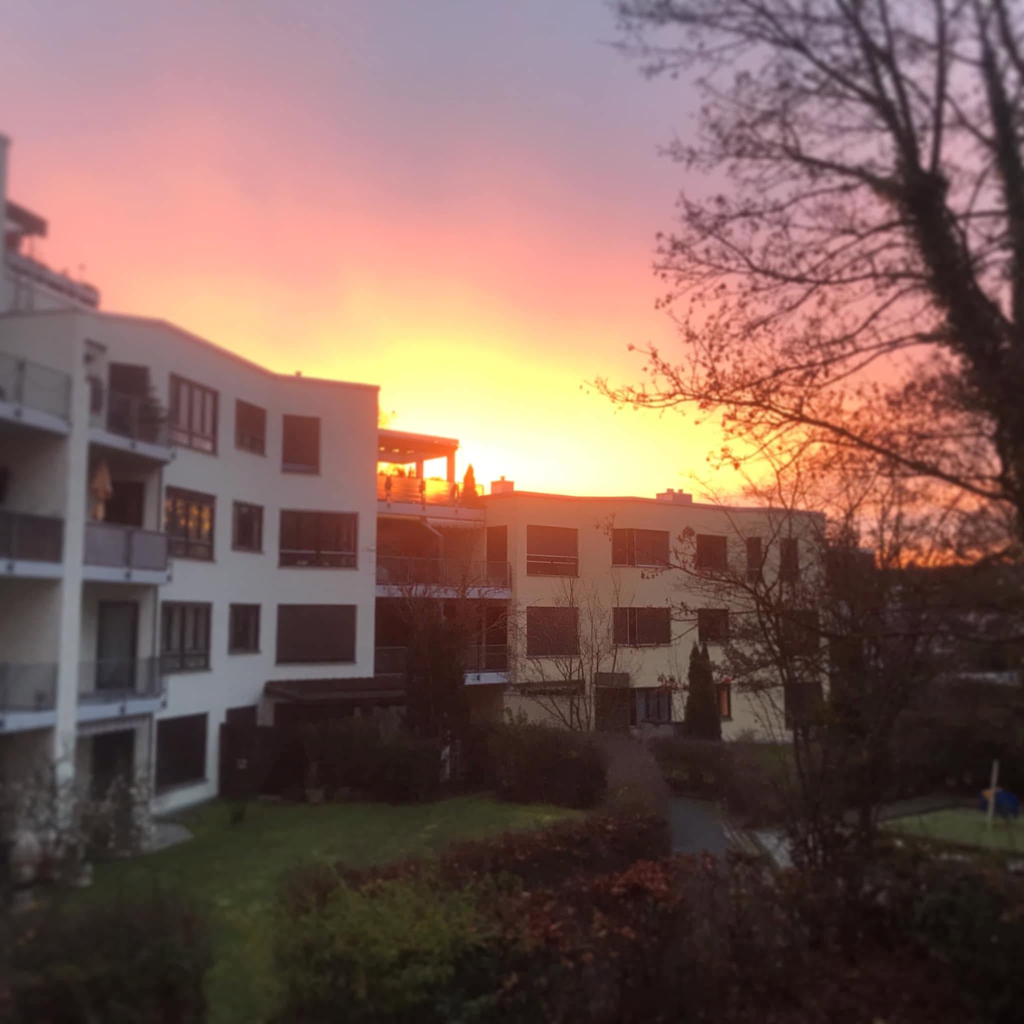 Warmer Sonnenuntergang zwischen Häusern und einem Baum